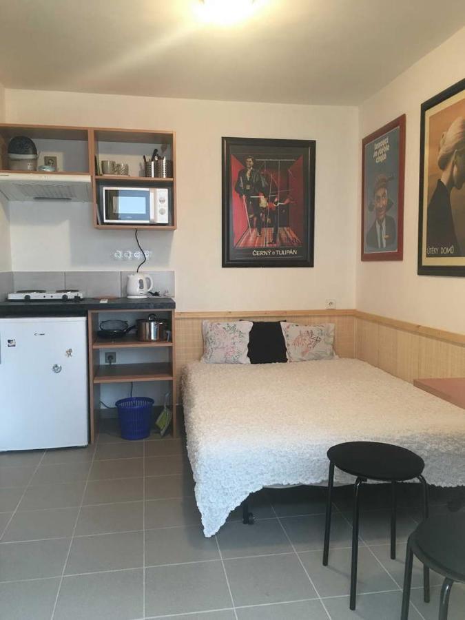 Male Utulne Studio S Koupelnou A Kuchynkou Svinarov Kültér fotó